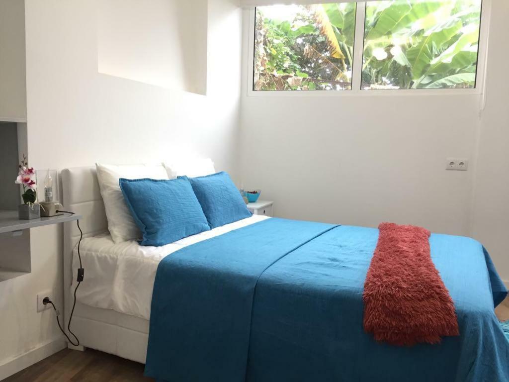 Rochinha Cozy Home ฟุงชาล ภายนอก รูปภาพ